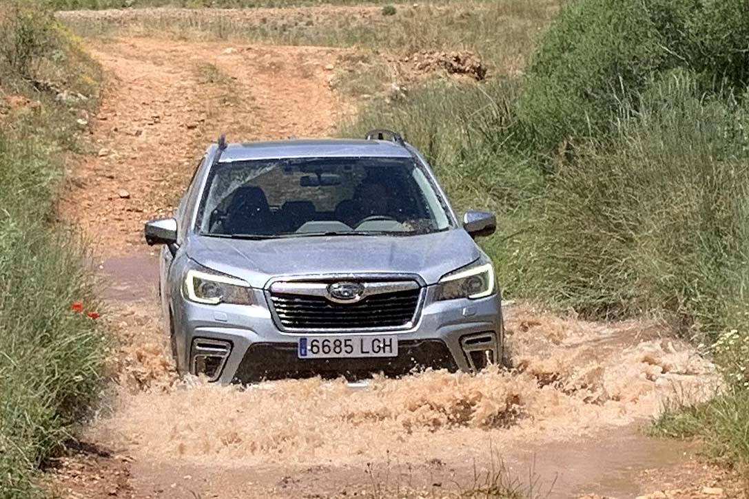 Prueba del Subaru Forester híbrido de 5ª generación.