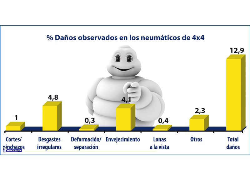 neumaticos michelin