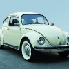 beetle delante