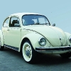 beetle delante