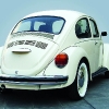 beetle trasera