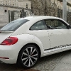 beetle trasera