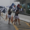 lluvia grid girls WTCC