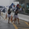 lluvia grid girls WTCC