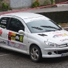 Rally Sur do Condado Vidal