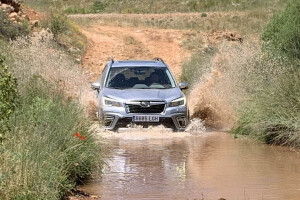 Prueba del Subaru Forester híbrido de 5ª generación.