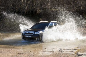 Subaru Forester 2013