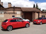 Seat gama 2013